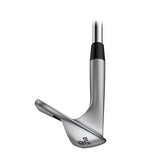 Wedge Ping s259